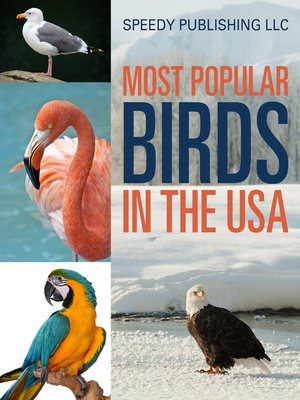 cover image of Most Popular Birds In the USA